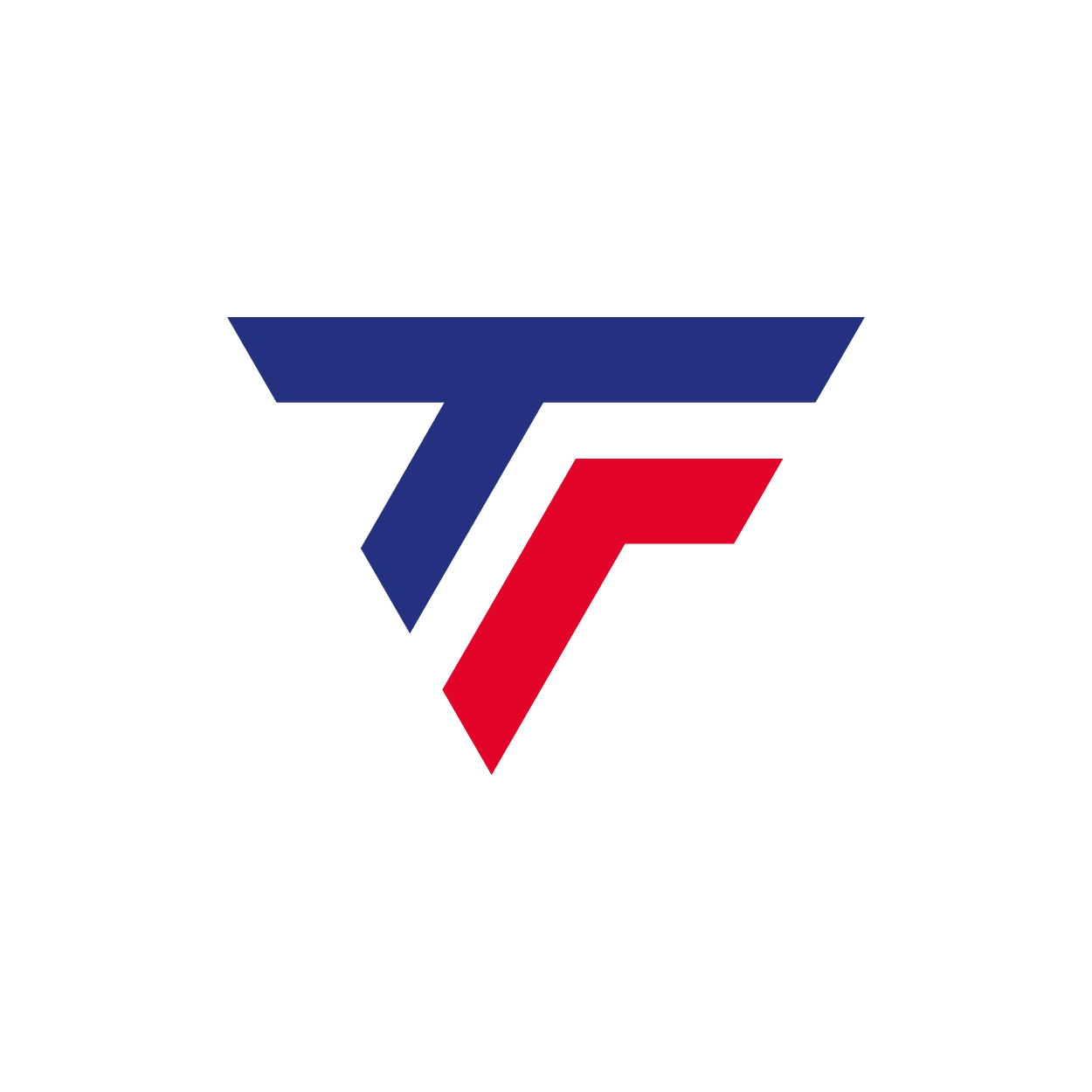 jogadores-tecnifibre.webp